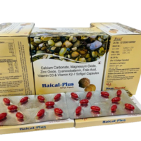 Haical-Plus